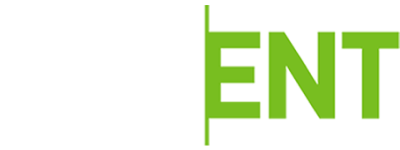 logo horizontal light wt netent slot